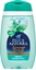 Immagine di FELCE AZZURRA DOCCIA SUMMER BRONZE 250ML MENTA
