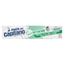 Immagine di PASTA CAP. DENT. 100ML ANTITARTARO VERDE