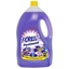 Immagine di FIORILLO PAV. 4LT LAVANDA