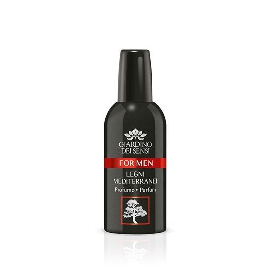 Immagine di GIARDINO DEI SENSI EDP 100ML FOR MEN LEGNI MEDIT.