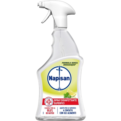 Immagine di NAPISAN DISINFETTANTE SPRAY 740ML LIMONE