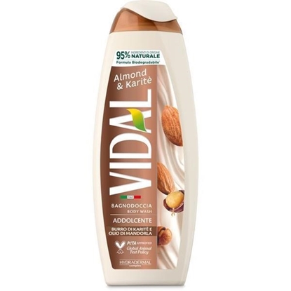 Immagine di VIDAL BAGNO 500ML ALMOND & KARITE' NEW BIO