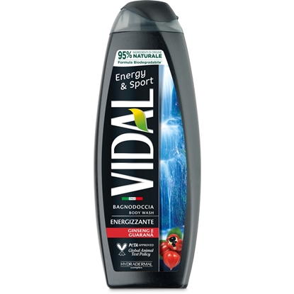 Immagine di VIDAL BAGNO 500ML ENERGY & SPORT NEW BIO
