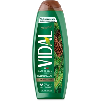 Immagine di VIDAL BAGNO 500ML PINO & EUCALIPTO NEW BIO