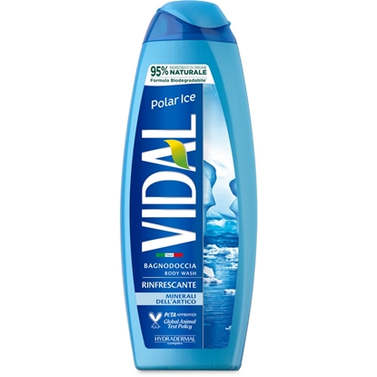 Immagine di VIDAL BAGNO 500ML POLAR ICE NEW BIO