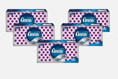 Immagine di CARESS TOV. GRAN POIS 33X33 2V 70PZ VIOLA