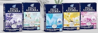 Immagine di FELCE AZZURRA RIC. ARIA DI CASA 20ML CASSA MISTA