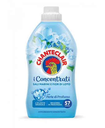 Immagine di CHANTECLAIR AMM. CONC. 57LAV 1.14LT SALI E LOTO