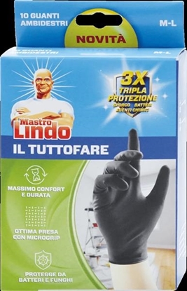 Immagine di MASTROLINDO GUANTI 10PZ IL TUTTOFARE LATEX NERI M/L