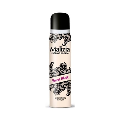Immagine di MALIZIA DEO SPRAY 100ML MUSK