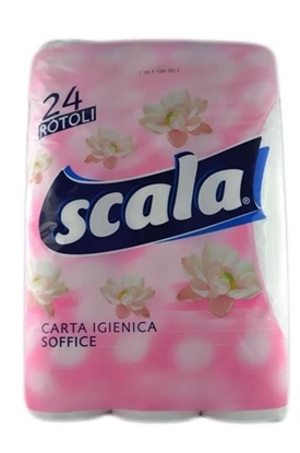 Immagine di SCALA C. IGIENICA 24ROT 2V