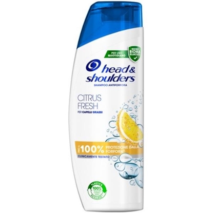 Immagine di HEAD&SHOULDERS SH. 225ML 1IN1 CITRUS FRESH