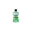Immagine di LISTERINE COLL. 250ML DIFESA DENTI E GENGIVE