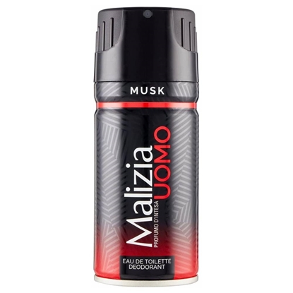 Immagine di MALIZIA DEO SPRAY UOMO 150ML MUSK