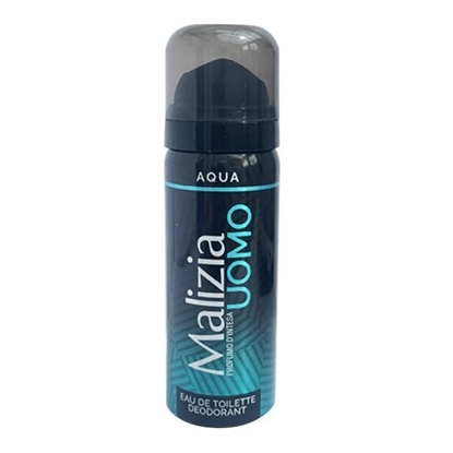 Immagine di MALIZIA DEO SPRAY UOMO 50ML AQUA