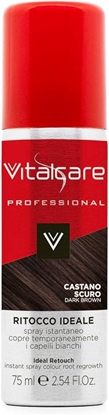 Immagine di VITALCARE SPRAY RITOCCO 75ML CASTANO SCURO
