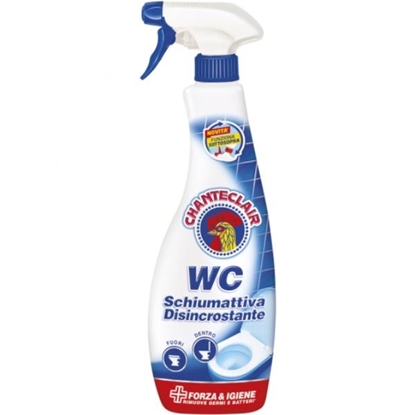 Immagine di CHANTECLAIR SPRAY WC 625ML DISINCROSTANTE