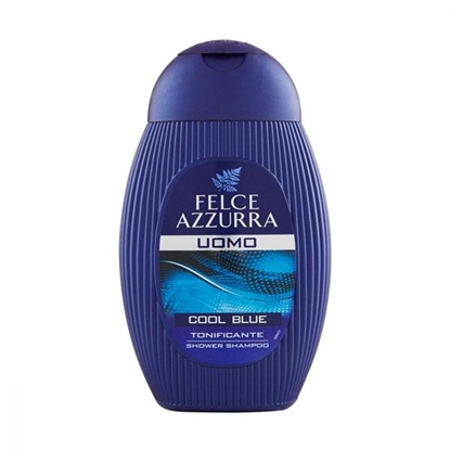 Immagine di FELCE AZZURRA DOCCIA SH. 250ML UOMO COOL BLUE