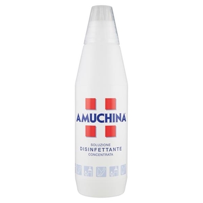 Immagine di AMUCHINA LIQ. 1LT DISINFETTANTE
