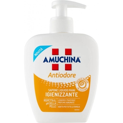 Immagine di AMUCHINA SAP. LIQ. 250ML ANTIODORE (CT 12)