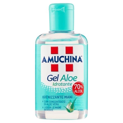 Immagine di AMUCHINA GEL 80ML ALOE
