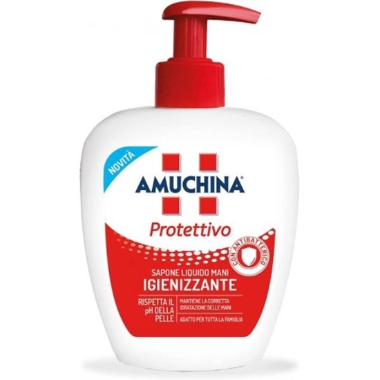 Immagine di AMUCHINA SAP. LIQ. 250ML PROTETTIVO DISINFETTANTE