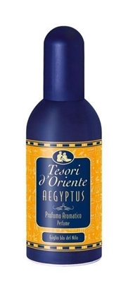 Immagine di TESORI D'ORIENTE EDT 100ML AEGYPTUS
