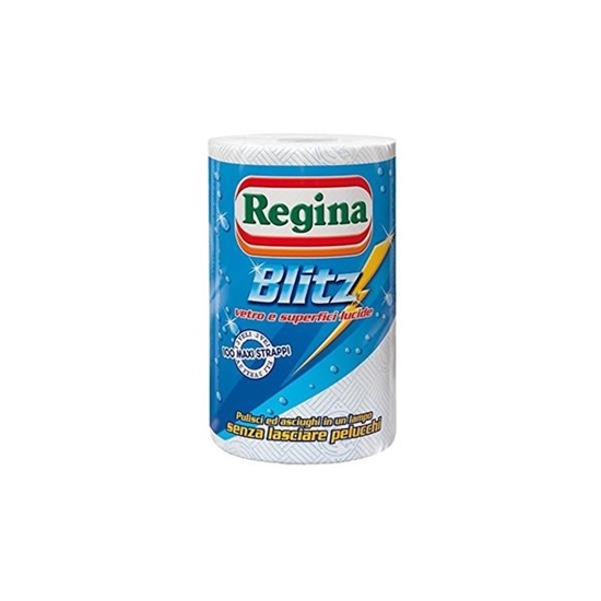 Immagine di REGINA ASCIUGATUTTO BLITZ 1ROT