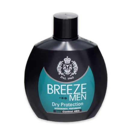 Immagine di BREEZE DEO SQUEEZE 100ML DRY PROT.