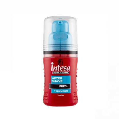 Immagine di INTESA DOPO BARBA 100ML FRESH TONIFICANTE