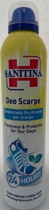 Immagine di SANITINA DEO SCARPE 300ML