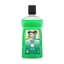 Immagine di AMALFI COLL. 500ML MENTA