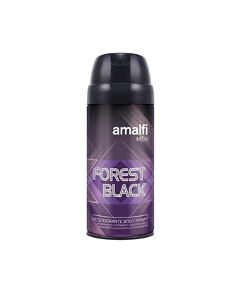 Immagine di AMALFI DEO SPRAY 150ML FOREST BLACK