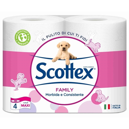 Immagine di SCOTTEX C. IGIENICA 4ROT FAMILY MAXI