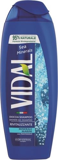 Immagine di VIDAL DOCCIA 250ML SALI MARINI NEW BIO